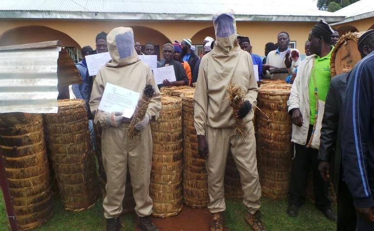 Practical training on sustainable bee farming with local hives