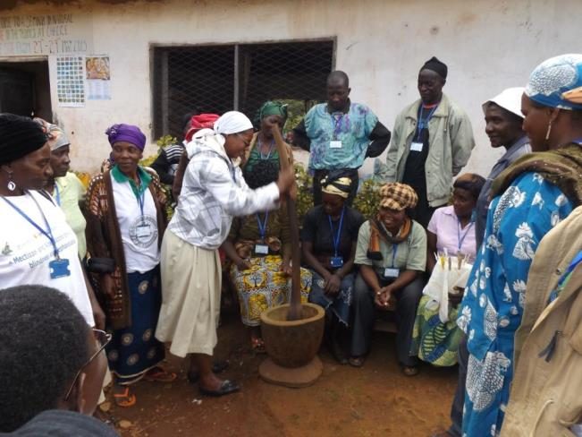 Training on natural medicine with traditional healers