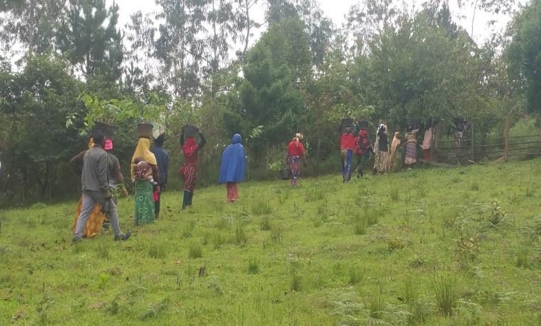 Community tree-planting under the “Save the Planet” campaign