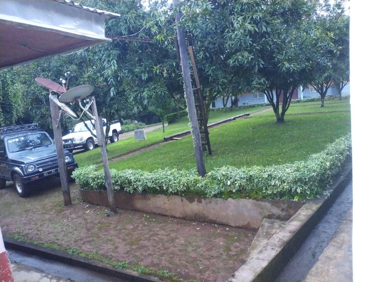Landscaped grounds with hedges and a satellite link