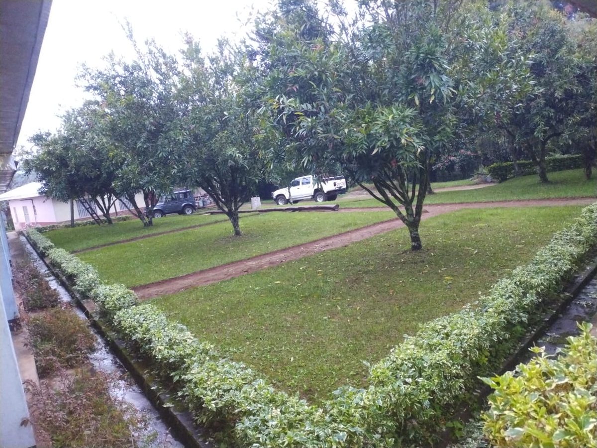 Manicured lawns and hedges across the compound