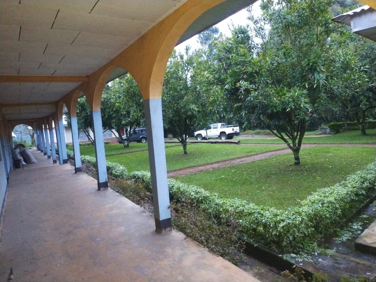 The arched veranda walkway along the buildings