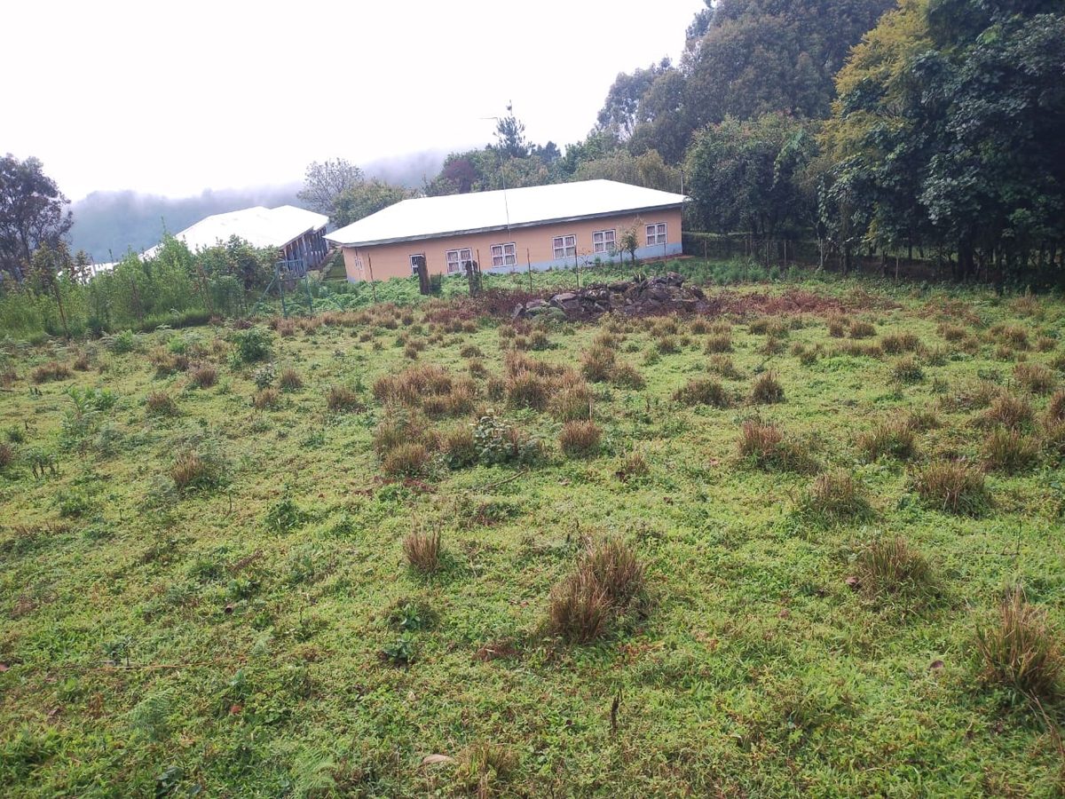 Centre buildings against the misty highland hills